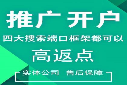 案例分享：SEM代运营服务公司的运营模式